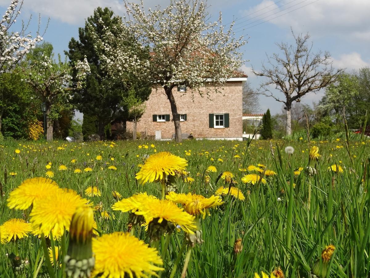 Unteregg Landhaus Loewenzahn מראה חיצוני תמונה